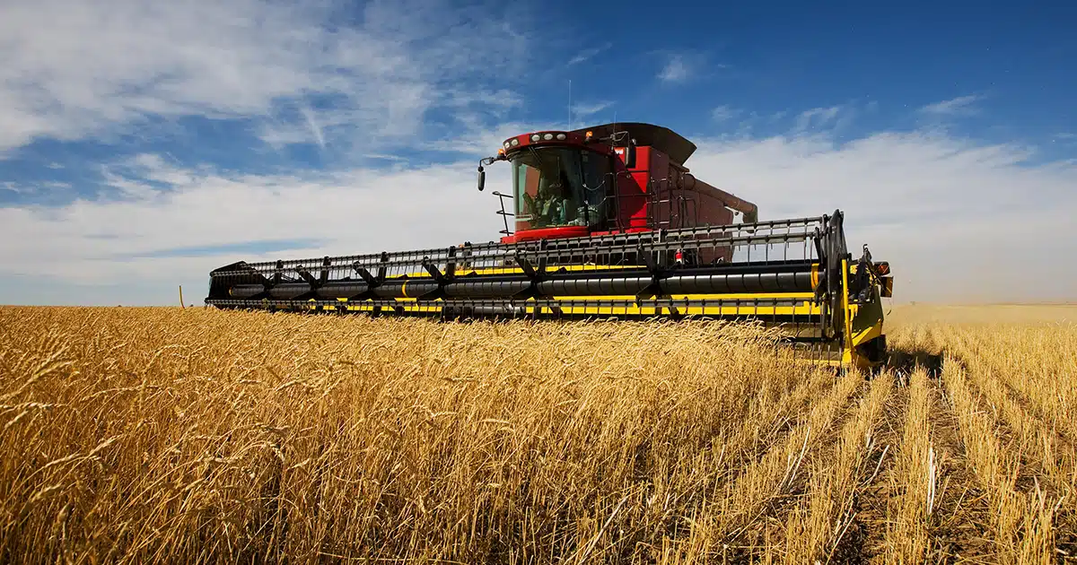 Quel régime fiscal pour les exploitants agricoles ?